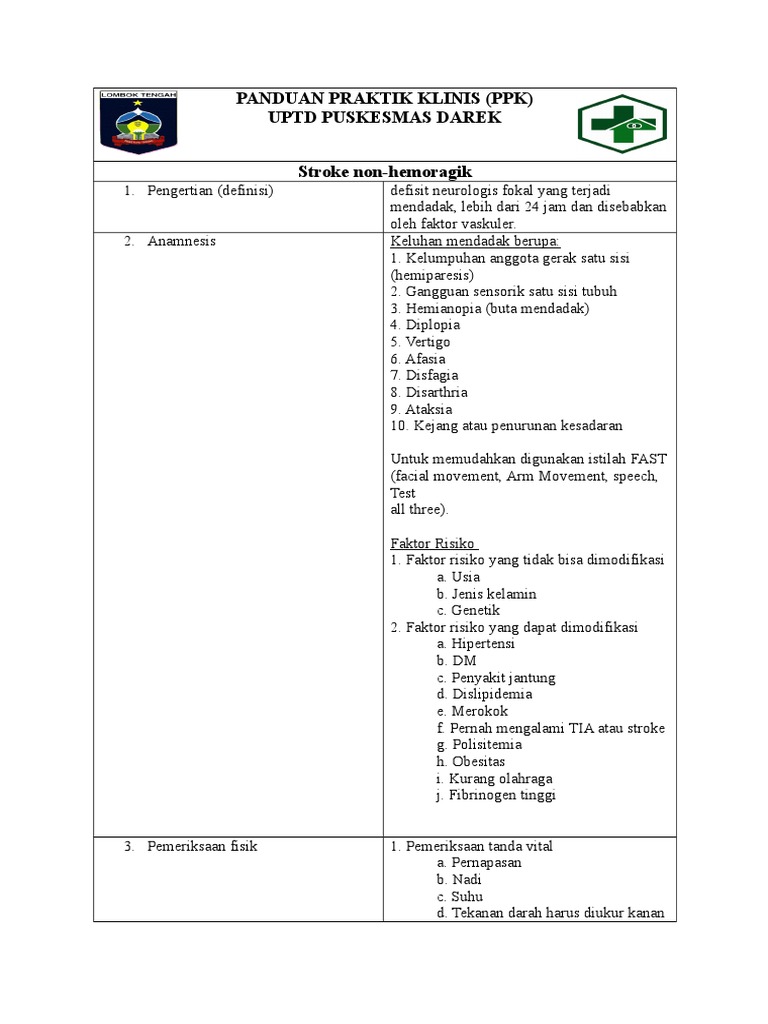 Panduan Diagnosis Stroke Non-Hemoragik | PDF