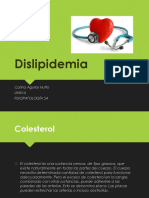 Dislipidemias: causas, tipos y tratamiento