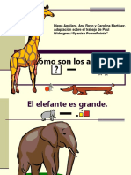 Cmo Son Los Animales