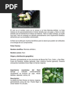 Download noni by eidypaloma SN36276117 doc pdf
