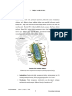 bakteri.pdf
