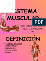 Sistema Muscular 1204687836174898 3