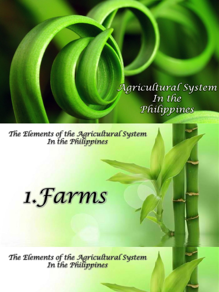 Key Features of Philippine Agriculture | PDF | Agriculture | Agronomy