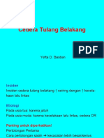 Cedera Tulang Belakang