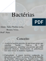 Bactérias