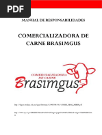 Manual de Responsabilidades