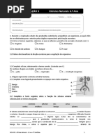 Ficha de Avaliação 3CN 6