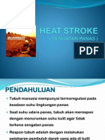 HEAT STROKE.pptx.pptx