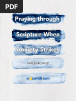 Crosswalk Anxiety Guide