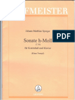 Sperger - Sonate H-Moll (Piano) PDF