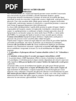 Il Metabolismo Degli Acidi Grassi e Il Colesterolo
