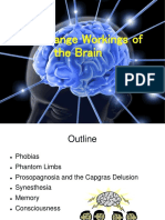 The Strange Workings of The Brain
