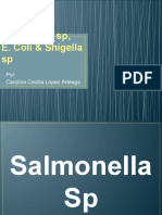 Salmonella, E.coli, Shigella