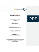 Modelo Informe Practica Profesional