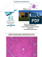 Biologia Del Hepatocito