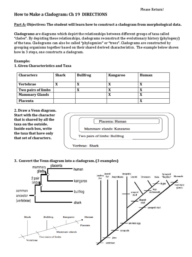 cladogram-ch-19-part-a-pdf-phylogenetic-tree-clade