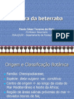 Aula Beterraba_Olerica_2016B.ppt