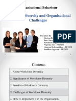 Workforce Diversity and Organisational Challenges