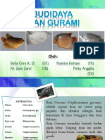 Budidaya Ikan Gurame