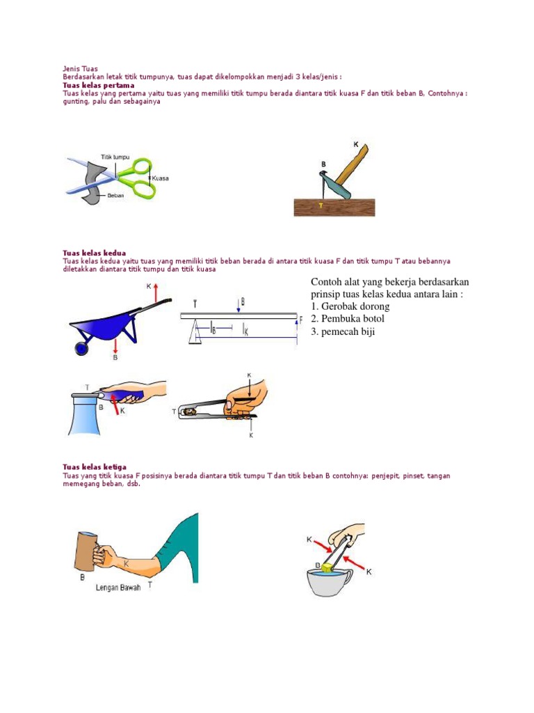 Jenis-Jenis Tuas dan Contohnya | PDF