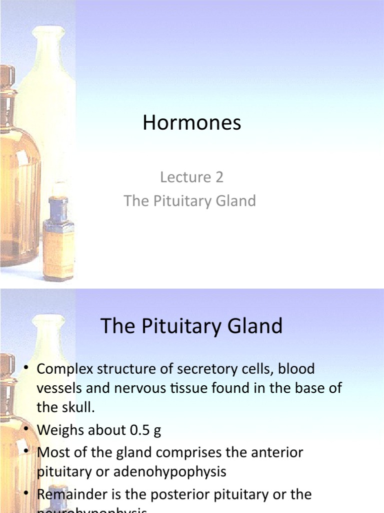 Pituitary Gland Hormones Overview | PDF | Self-Improvement | Science ...