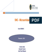 SEG0212 - SNC - Microentidades