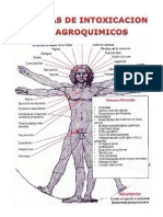 Síntomas de Intoxicación