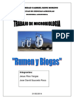 RUMEN Y BIOGAS.docx