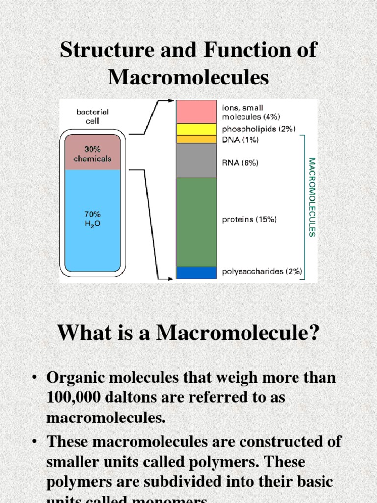 Structure and Functions of Macromolecules | PDF | Lipid | Polysaccharide