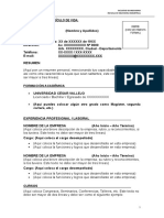 Formato Fp001 - Curriculum Vitae