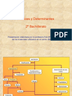 Matrices y Determinantes