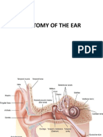 Anatomy of The Ear