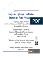 Syngas.pdf