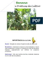 APOSTILA_Banana_ Cultivares e Praticas de Cultivo