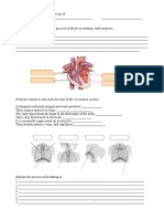 Examen Tema 1 Natural