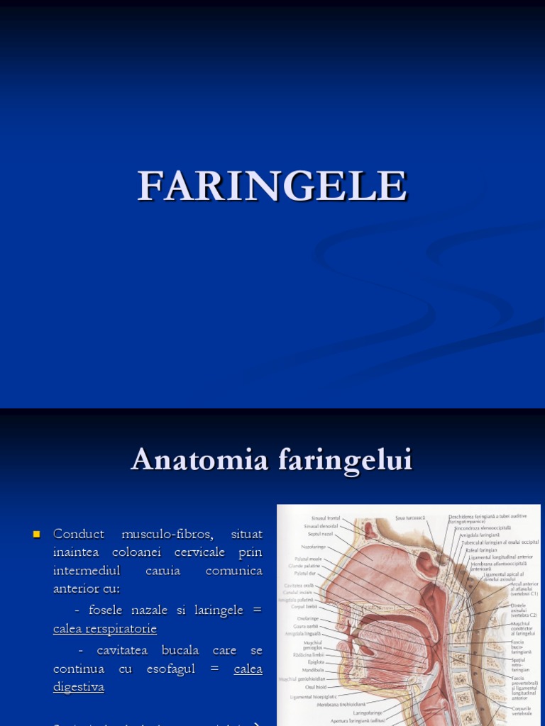 Faringe | PDF