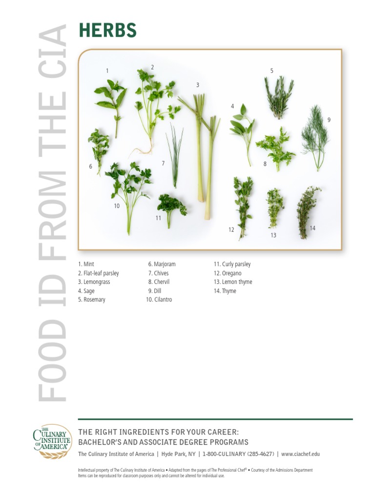 Herbs The Right Ingredients For Your Career Bachelor'S and Associate