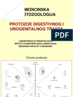 SEMINAR 2 Protozoe Digestivnog Trakta