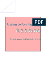 As Almas do Povo Negro.pdf