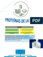 Proteínas de la leche