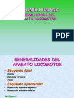 2-Generalidades de Locomotor