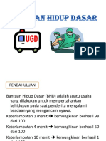 BHD RJP