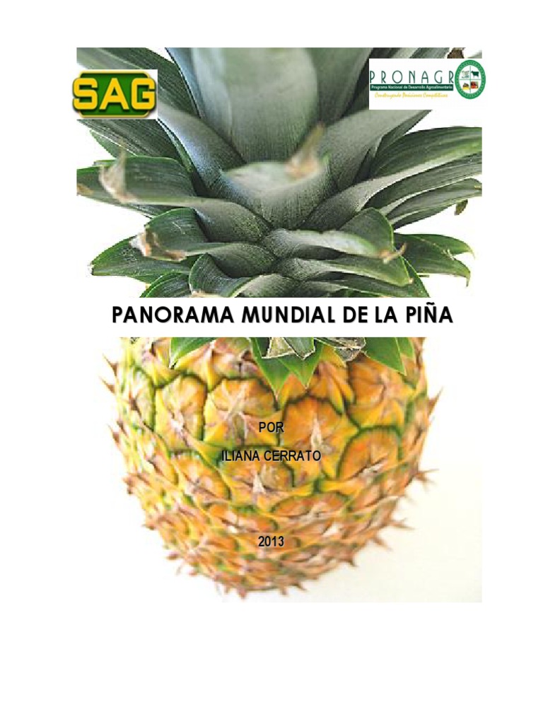 Historia y comercio de la piña | PDF | Piña | Organismo genéticamente ...