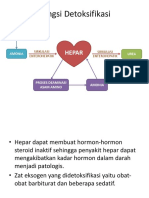 Fungsi Detoksifikasi & Depo