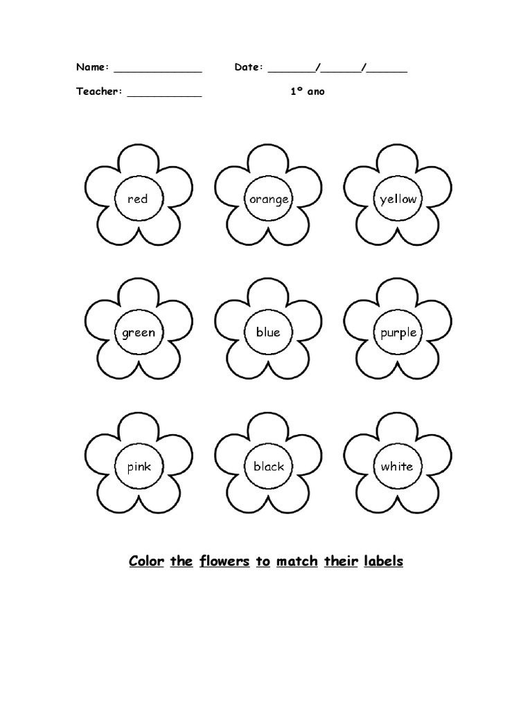 Name: - Date: - / - / - Teacher: - 1º Ano | PDF