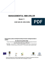 Managementul IMM URILOR