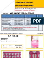 Field Exercise 2 - Plane Symmetry