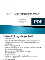 Kultur Jaringan _ Ppt