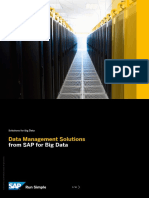 Data Management Solutions From SAP for Big Data