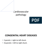 Cardiovascular Pathology Guide